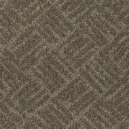 Impressive Edge in Harvest Home Carpet