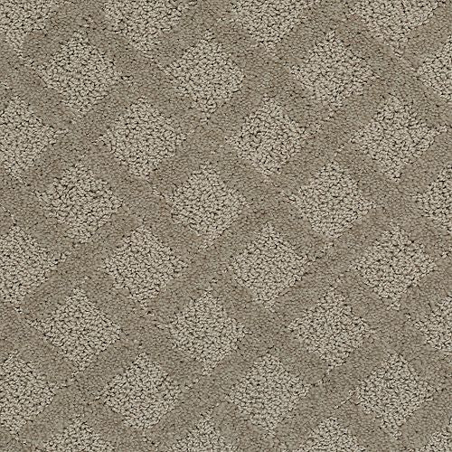 Sensational Charm in Tradition Carpet