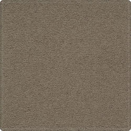 Tempting Appeal in Graceful Carpet