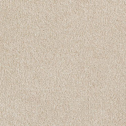 Ideal Outlook in Homemade Carpet