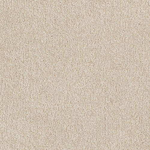 Ideal Outlook in Homemade Carpet