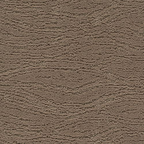 Untamed Chic in Passageway Carpet
