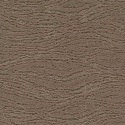 Untamed Chic in Passageway Carpet