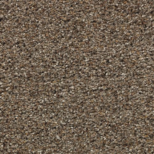Instinctive Flair in Dovetail Carpet