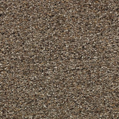 Instinctive Flair in Dovetail Carpet