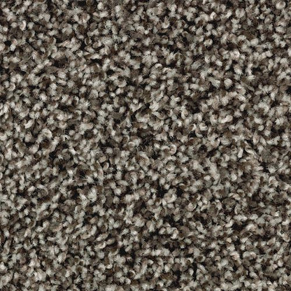 Artist's Slate in Hawthorn Carpet