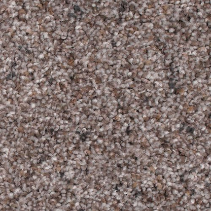 Earthly Details I in Dried Peat Carpet