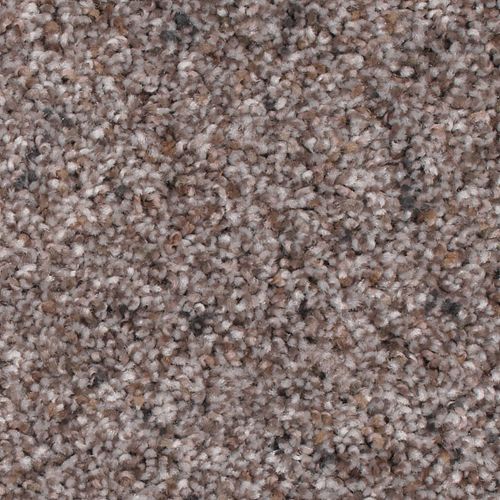 Earthly Details I in Dried Peat Carpet
