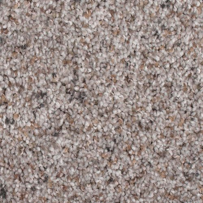 Earthly Details II in Eclipse Carpet