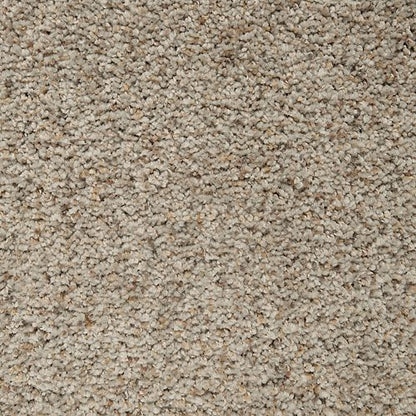 Relaxing Presence in Ridge View Carpet