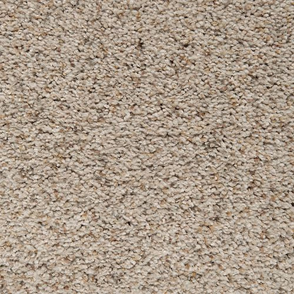 Serene Harmony in Shaded Earth Carpet