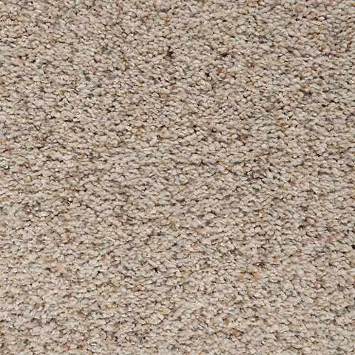 Serene Harmony in Shaded Earth Carpet