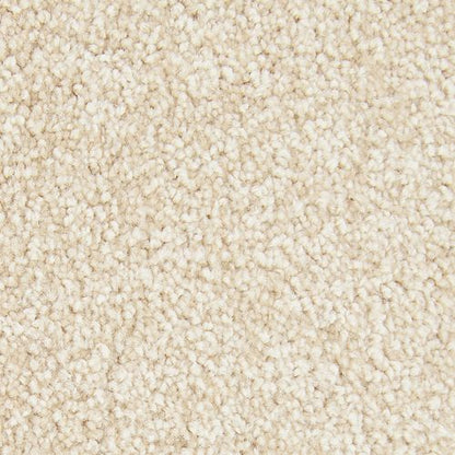 Noteworthy Selection in Mission Carpet