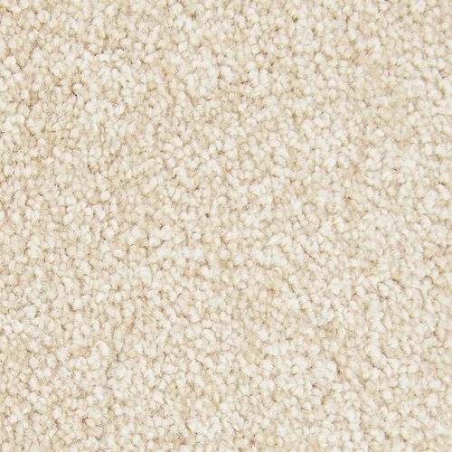 Noteworthy Selection in Mission Carpet