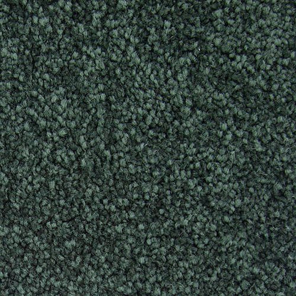 Striking Option in Eden Carpet