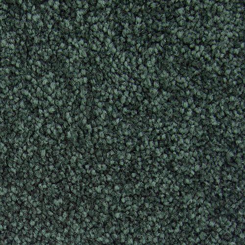 Striking Option in Eden Carpet