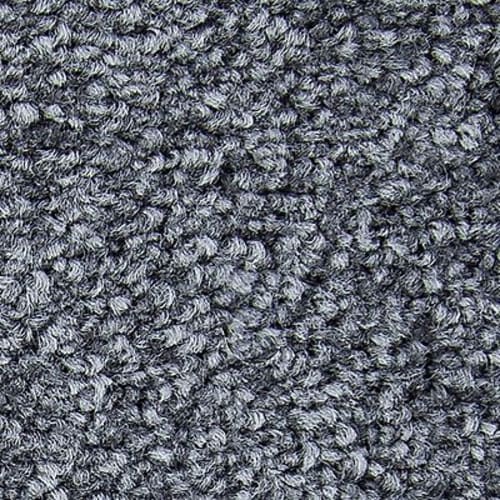 Memorable View in Magnetic Carpet