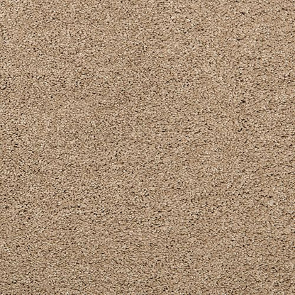 Pleasant Touch in November Foliage Carpet