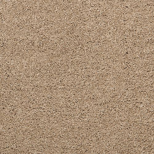 Pleasant Touch in November Foliage Carpet