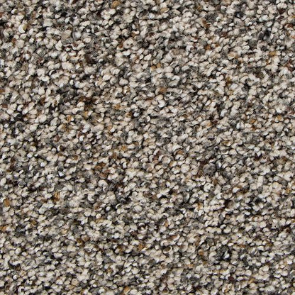 Remarkable Vision in Elmwood Carpet