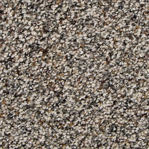 Remarkable Vision in Elmwood Carpet