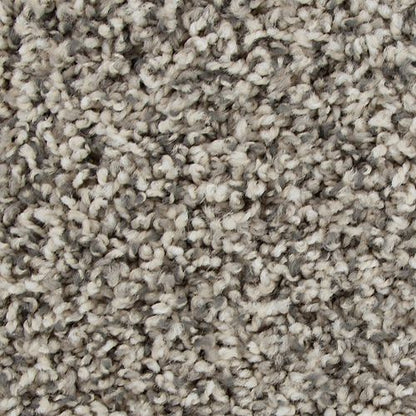 Medalist in Retreat Carpet