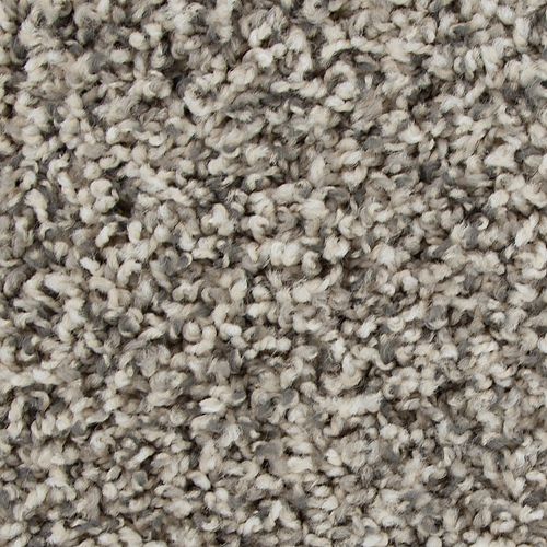 Medalist in Retreat Carpet