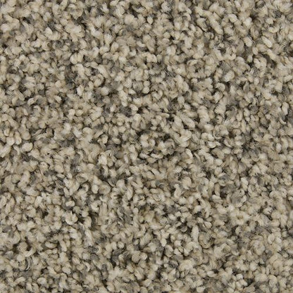 Color Fusion I in Retreat Carpet