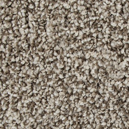 Color Fusion II in Overcast Carpet