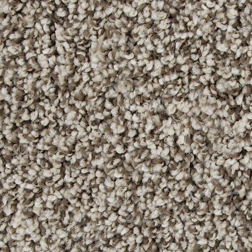 Color Fusion II in Overcast Carpet