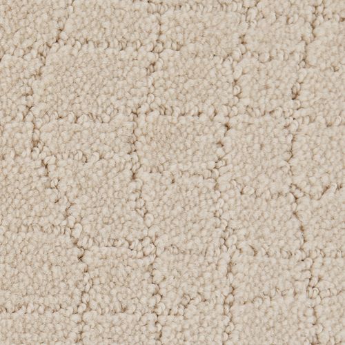 Posh Appeal in Serenity             Carpet