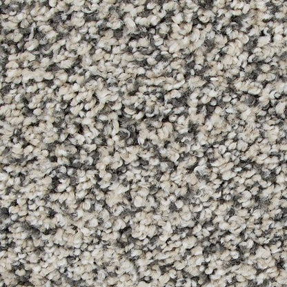 Magnetic Allure in Champagne Carpet