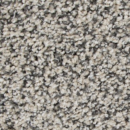 Magnetic Allure in Champagne Carpet