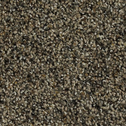 Captivating Outlook in Raleigh Carpet