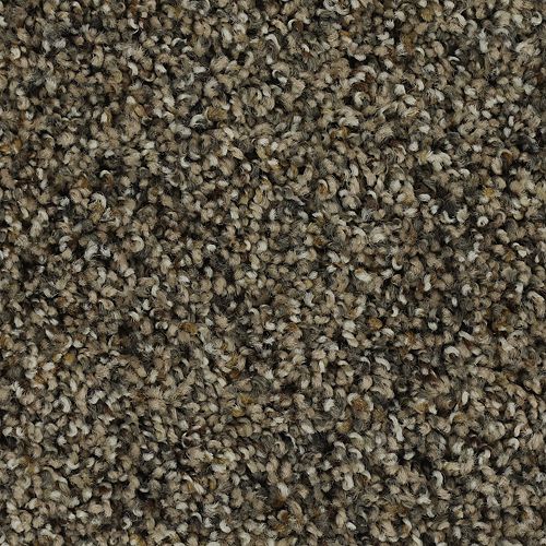 Captivating Outlook in Raleigh Carpet