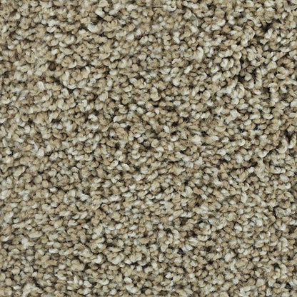 Noteworthy Style in Putty Carpet