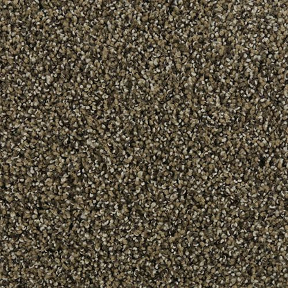 Natural Opulence II in Balsam Beige Carpet