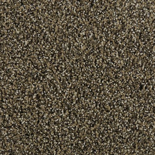 Natural Opulence II in Balsam Beige Carpet