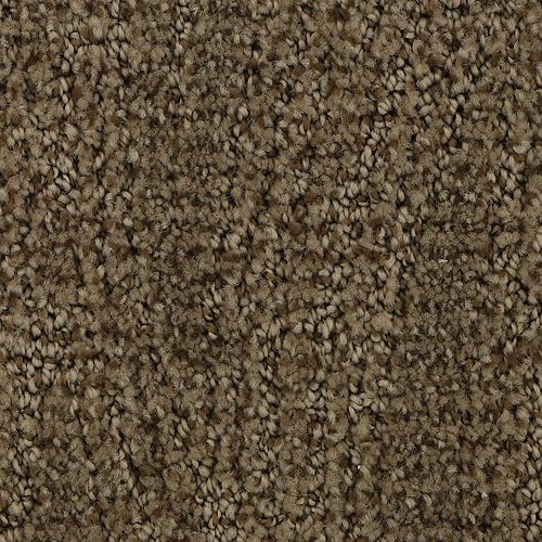 Stylish Trend in Tightrope Carpet