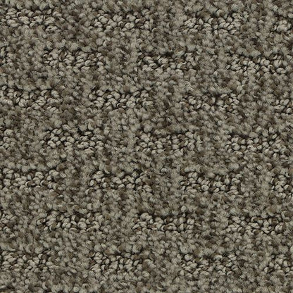 Stylish Tones in Tinsel Carpet
