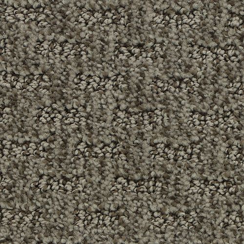 Stylish Tones in Tinsel Carpet