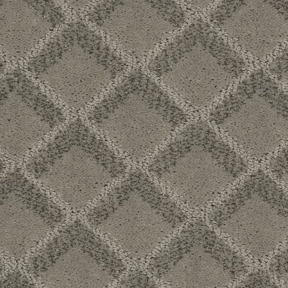 Graceful Appeal in Boulevard Carpet