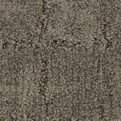 Elaborate Appeal in Fleece Carpet