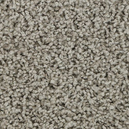 Soft Aspect in Classic Silver Carpet