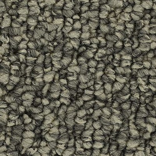 Cozy Classic in Classic Silver Carpet