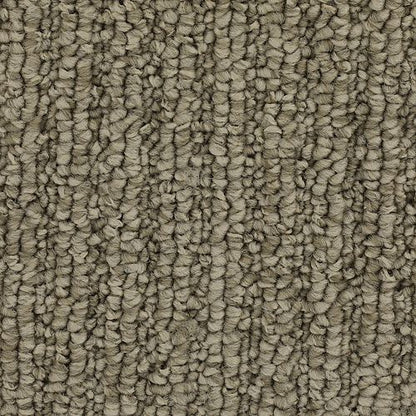 Casual Character in Taupe Whisper Carpet