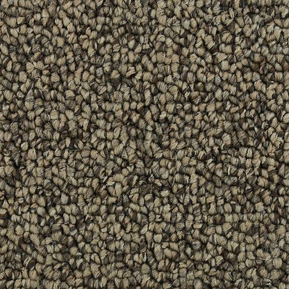 Pure Wonder in Warm Neutral Carpet