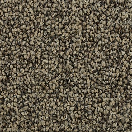 Pure Wonder in Warm Neutral Carpet