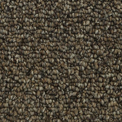 Pure Admiration in Copper Tones Carpet