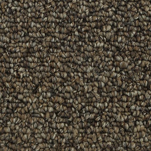 Pure Admiration in Copper Tones Carpet